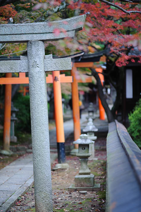 Path -- Takenaka Inari Shrine (Mt. Yoshida) -- Kyoto, Japan -- Copyright 2009 Jeffrey Friedl, http://regex.info/blog/