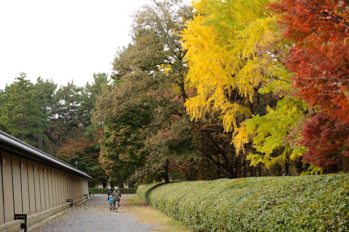 North Wall of the Kyoto State Guest House where visiting dignitaries stay -- Kyoto Gosho, the grounds of the old imperial palace. -- Kyoto, Japan -- Copyright 2009 Jeffrey Friedl, http://regex.info/blog/