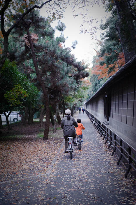 Heading Home just outside the east wall -- Kyoto Gosho, the grounds of the old imperial palace. -- Kyoto, Japan -- Copyright 2009 Jeffrey Friedl, http://regex.info/blog/