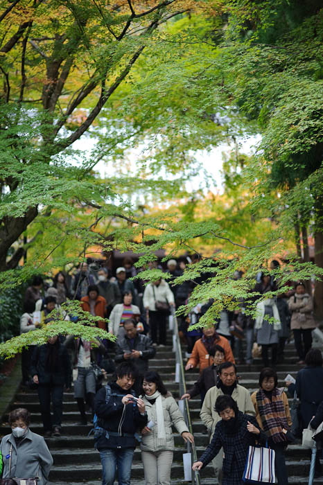 Sharing -- Eikando Temple -- Kyoto, Japan -- Copyright 2009 Jeffrey Friedl, http://regex.info/blog/