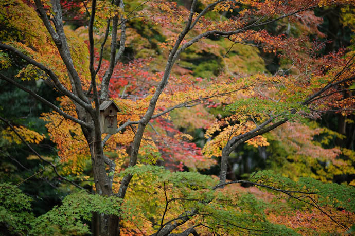 &#8220;Mini Sanctuary&#8221; hey, that's what it says -- Eikando Temple -- Kyoto, Japan -- Copyright 2009 Jeffrey Friedl, http://regex.info/blog/