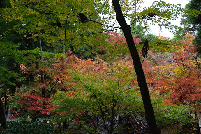 Calm Above the Fray -- Eikando Temple -- Kyoto, Japan -- Copyright 2009 Jeffrey Friedl, http://regex.info/blog/