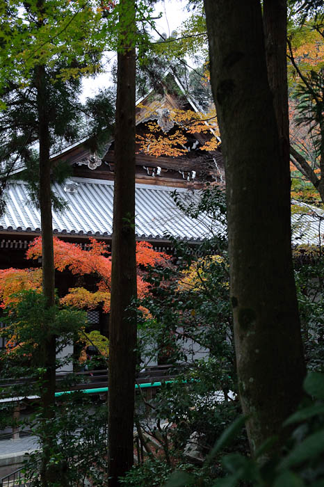 Secluded -- Eikando Temple -- Kyoto, Japan -- Copyright 2009 Jeffrey Friedl, http://regex.info/blog/