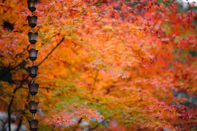 Kusaridoi Holy Cow, This is Beautiful rain-spout type things, like these and these -- Eikando Temple -- Kyoto, Japan -- Copyright 2009 Jeffrey Friedl, http://regex.info/blog/