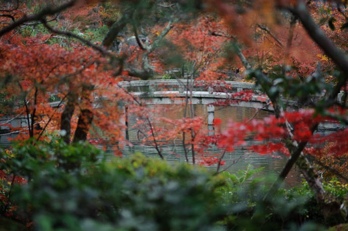 Passages ( Winner of the most clich&eacute; caption award, but it's 1am and I'm tired, so give me a break ) -- Eikando Temple -- Kyoto, Japan -- Copyright 2009 Jeffrey Friedl, http://regex.info/blog/