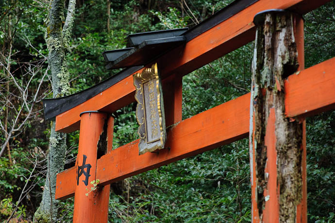 &#8220;Kaneda Inarai Taisha&#8221; -- Himukai Shrine -- Kyoto, Japan -- Copyright 2009 Jeffrey Friedl, http://regex.info/blog/