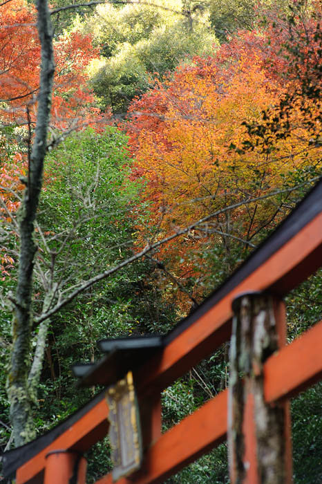 Nice View, Though -- Himukai Shrine -- Kyoto, Japan -- Copyright 2009 Jeffrey Friedl, http://regex.info/blog/
