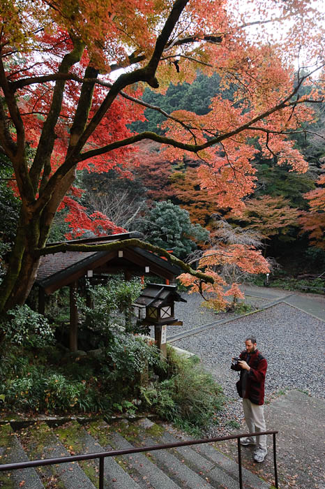 Heading Up -- Himukai Shrine -- Kyoto, Japan -- Copyright 2009 Jeffrey Friedl, http://regex.info/blog/