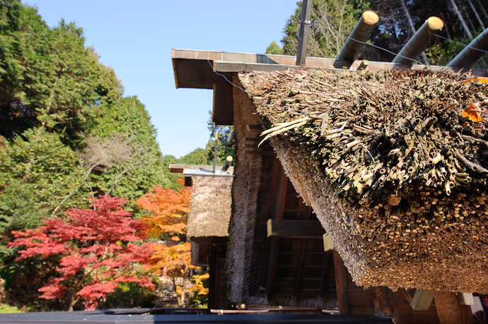 Reed-Thatched Roofs Look Pretty From a Distance but show their rough nature when viewed up close -- Himukai Shrine -- Kyoto, Japan -- Copyright 2009 Jeffrey Friedl, http://regex.info/blog/