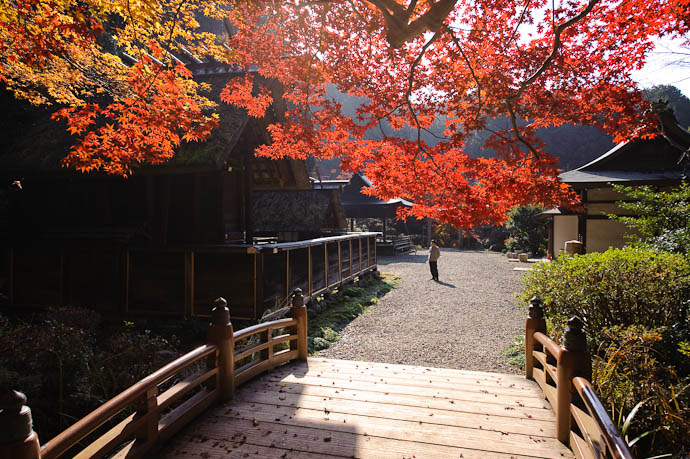 Himukai Shrine -- Kyoto, Japan -- Copyright 2009 Jeffrey Friedl, http://regex.info/blog/