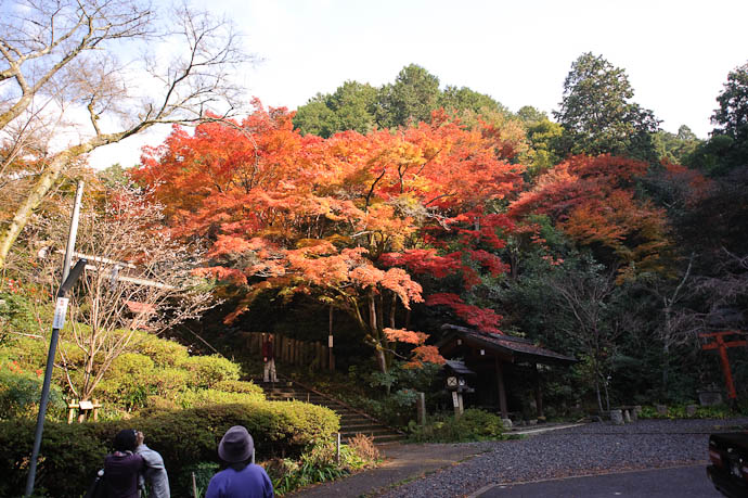 Stairs Up to the Himukai Shrine -- Kyoto, Japan -- Copyright 2009 Jeffrey Friedl, http://regex.info/blog/