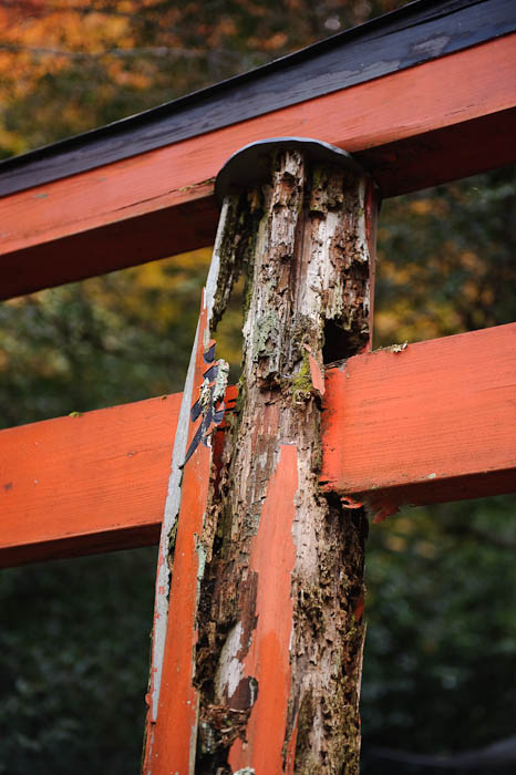 Structurally Sound ( the sound of crashing timber ) -- Himukai Shrine -- Kyoto, Japan -- Copyright 2009 Jeffrey Friedl, http://regex.info/blog/