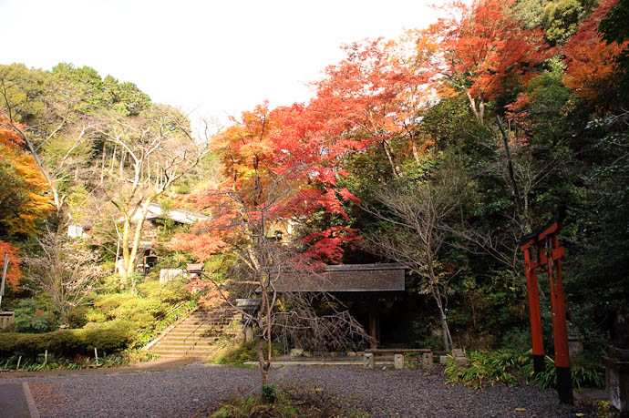 Colorful Entrance to the Himukai Shrine -- Kyoto, Japan -- Copyright 2009 Jeffrey Friedl, http://regex.info/blog/