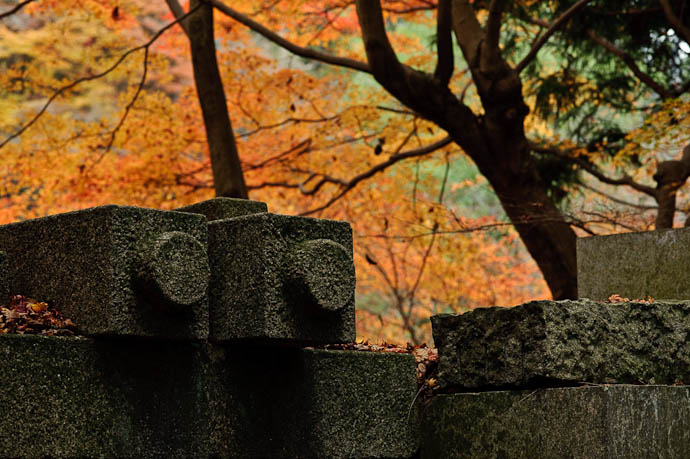Edgy -- Kyoto, Japan -- Copyright 2009 Jeffrey Friedl, http://regex.info/blog/