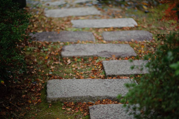 The Future? it lies ahead, silly (a different take, during a different year, on these stepping stones ) -- At Kayo and Arthur Brigham's house -- Otsu, Shiga, Japan -- Copyright 2009 Jeffrey Friedl, http://regex.info/blog/