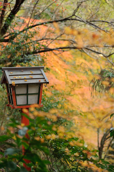 Pathway Light ( reminds me of this photo from last year ) -- Nitenji Temple -- Kyoto, Japan -- Copyright 2009 Jeffrey Friedl, http://regex.info/blog/