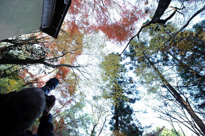 Paul and the Outbuilding -- Nitenji Temple -- Kyoto, Japan -- Copyright 2009 Jeffrey Friedl, http://regex.info/blog/