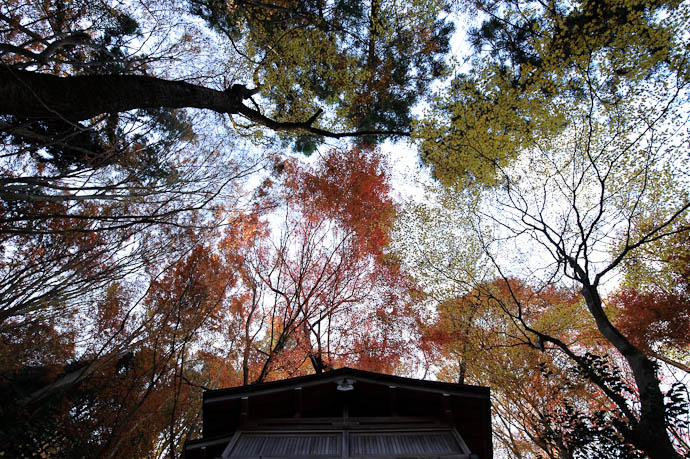 Outbuilding -- Nitenji Temple -- Kyoto, Japan -- Copyright 2009 Jeffrey Friedl, http://regex.info/blog/