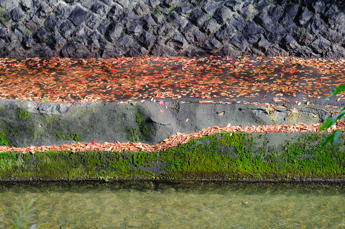 desktop background image of a path beside a stream in Kyoto, Japan -- Going Up -- Copyright 2009 Jeffrey Friedl, http://regex.info/blog/