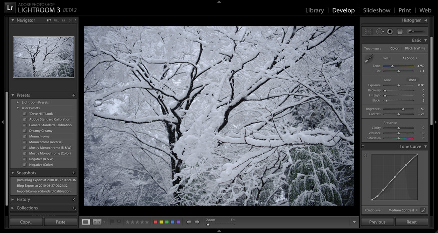 Boring -- Tonami, Toyama, Japan -- Copyright 2010 Jeffrey Friedl, http://regex.info/blog/