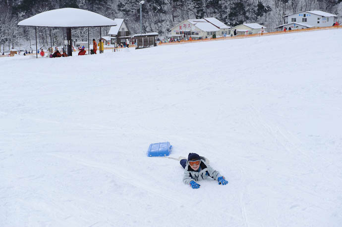 The Joy of the Crash for Anthony, the whole point is to crash -- Makino Ski Area -- Takashima, Shiga, Japan -- Copyright 2010 Jeffrey Friedl, http://regex.info/blog/