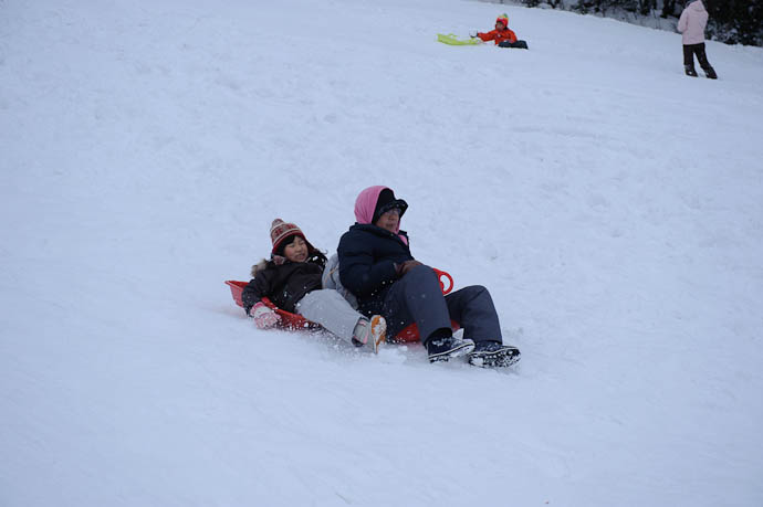 Multi-Generational Sledding -- Makino Ski Area -- Takashima, Shiga, Japan -- Copyright 2010 Jeffrey Friedl, http://regex.info/blog/