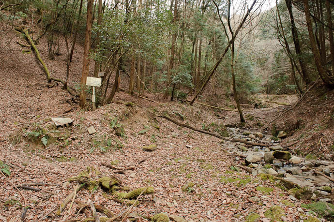 Clearing sort of -- Small mountain stream in the Kitashirakawa area of Kyoto -- Kyoto, Japan -- Copyright 2010 Jeffrey Friedl, http://regex.info/blog/