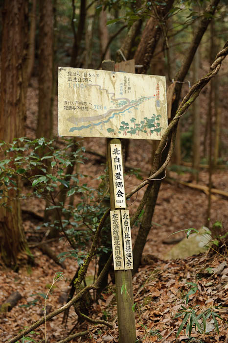 Sign of the Vines dating from November 1983 -- Small mountain stream in the Kitashirakawa area of Kyoto -- Kyoto, Japan -- Copyright 2010 Jeffrey Friedl, http://regex.info/blog/