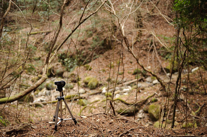 Small mountain stream in the Kitashirakawa area of Kyoto -- Kyoto, Japan -- Copyright 2010 Jeffrey Friedl, http://regex.info/blog/