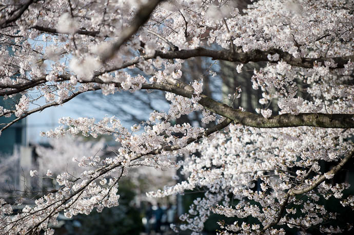 Kyoto, Japan -- Copyright 2010 Jeffrey Friedl, http://regex.info/blog/