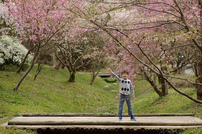 Sunainosato Cherry-Blossom Orchard Shiga Prefecture, Japan -- Otsu, Shiga, Japan -- Copyright 2010 Jeffrey Friedl, http://regex.info/blog/