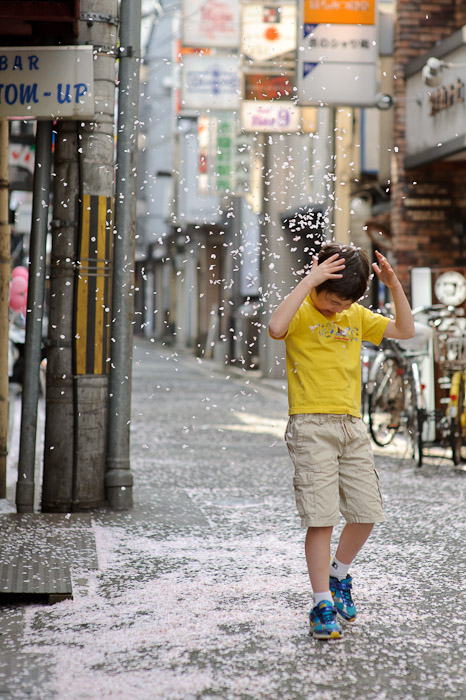 Aftermath -- Kyoto, Japan -- Copyright 2010 Jeffrey Friedl, http://regex.info/blog/