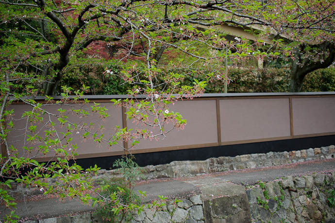 Same Scene at 50 mm -- Kyoto, Japan -- Copyright 2010 Jeffrey Friedl, http://regex.info/blog/