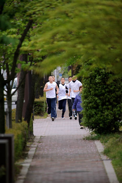 Morning Jog -- Kyoto, Japan -- Copyright 2010 Jeffrey Friedl, http://regex.info/blog/