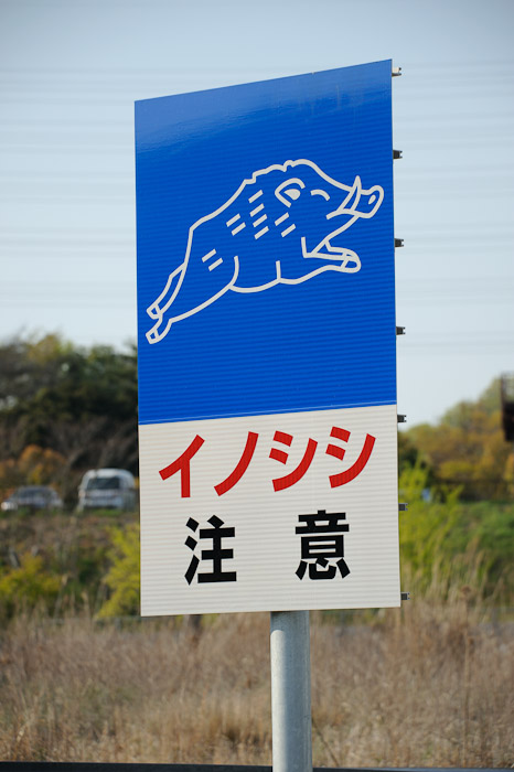 &#8220;Beware of Wild Boar&#8221; -- Kobe, Hyogo, Japan -- Copyright 2010 Jeffrey Friedl, http://regex.info/blog/