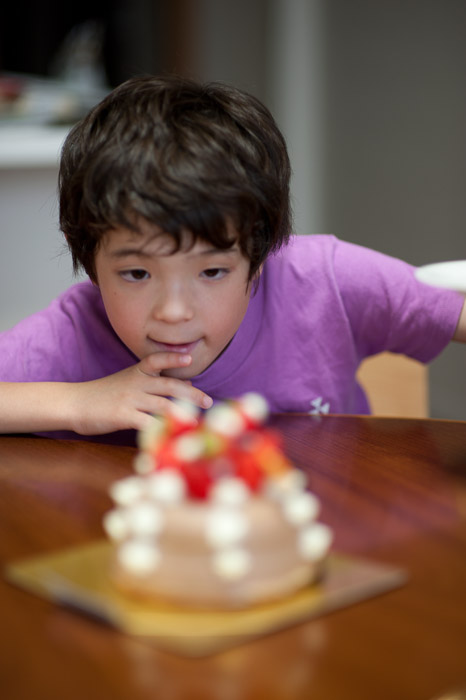 Sizing Up the Competition seven year old kid vs. a strawberry and chocolate sponge cake -- Kyoto, Japan -- Copyright 2010 Jeffrey Friedl, http://regex.info/blog/