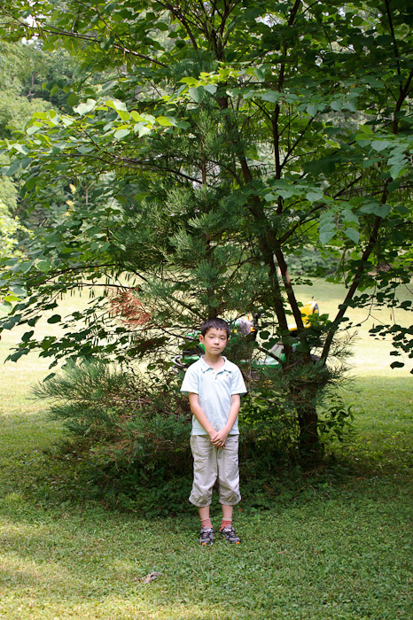 Anthony and His Tree, 2010 seven years old -- Rootstown, Ohio, USA -- Copyright 2010 Jeffrey Friedl, http://regex.info/blog/