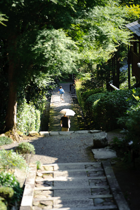 Leading The Way Again -- Jakkouin Temple -- Kyoto Sakyo Ward, Kyoto Prefecture, Japan -- Copyright 2010 Jeffrey Friedl, http://regex.info/blog/