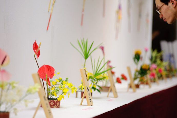 Kids' Flower-Arranging Exhibition -- Ikebana Show -- Kyoto, Japan -- Copyright 2010 Jeffrey Friedl, http://regex.info/blog/
