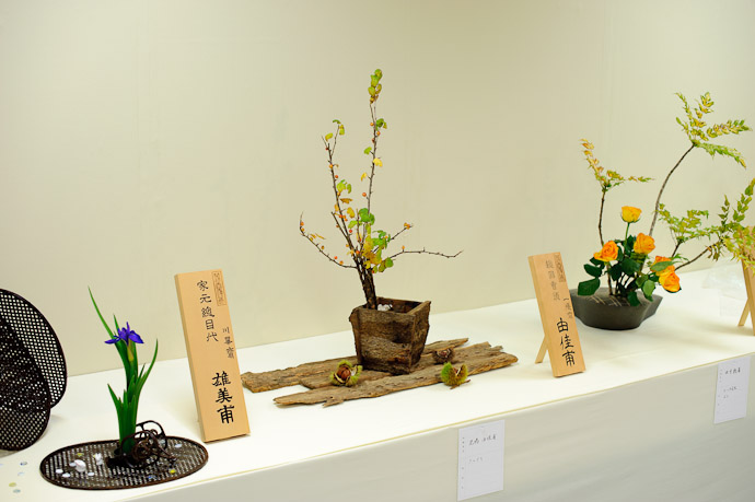 Ikebana Show -- Kyoto, Japan -- Copyright 2010 Jeffrey Friedl, http://regex.info/blog/