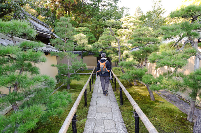 Outer Entrance -- Koutou-in Temple (高桐院) -- Kyoto, Japan -- Copyright 2010 Jeffrey Friedl, http://regex.info/blog/