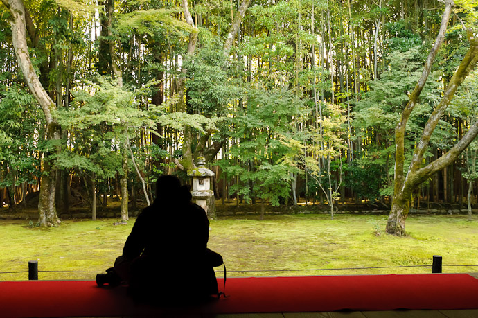 Enjoying the Moss Garden -- Koutou-in Temple (高桐院) -- Kyoto, Japan -- Copyright 2010 Jeffrey Friedl, http://regex.info/blog/