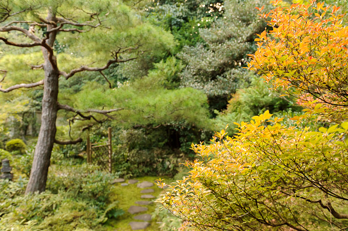 Garden Gate -- Koutou-in Temple (高桐院) -- Kyoto, Japan -- Copyright 2010 Jeffrey Friedl, http://regex.info/blog/