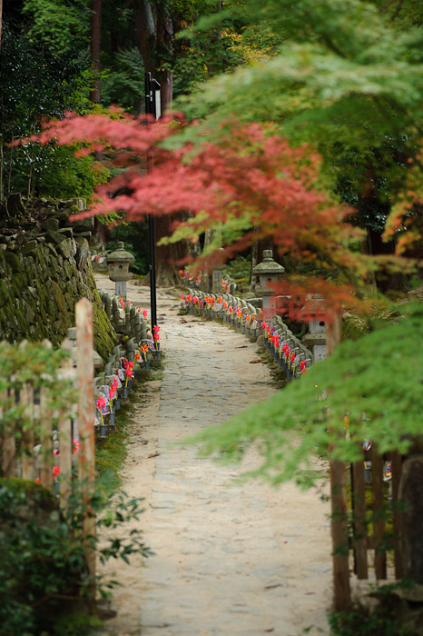 Kongourinji Temple (金剛輪寺) -- Aisho, Shiga, Japan -- Copyright 2010 Jeffrey Friedl, http://regex.info/blog/