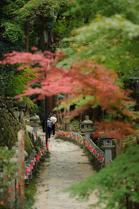 Kongourinji Temple (金剛輪寺) -- Aisho, Shiga, Japan -- Copyright 2010 Jeffrey Friedl, http://regex.info/blog/