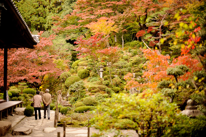 Visual Wall of gardenness -- Kongourinji Temple (金剛輪寺) -- Aisho, Shiga, Japan -- Copyright 2010 Jeffrey Friedl, http://regex.info/blog/