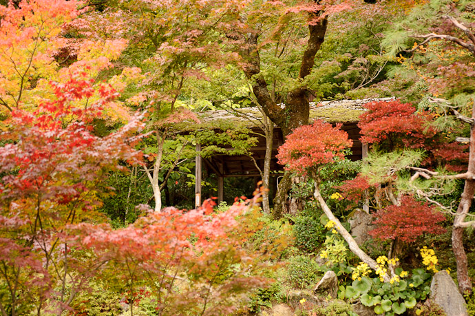 Garden Gazebo -- Kongourinji Temple (金剛輪寺) -- Aisho, Shiga, Japan -- Copyright 2010 Jeffrey Friedl, http://regex.info/blog/