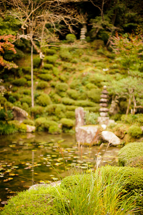 Tuft of Grass and a bit more water -- Kongourinji Temple (金剛輪寺) -- Aisho, Shiga, Japan -- Copyright 2010 Jeffrey Friedl, http://regex.info/blog/