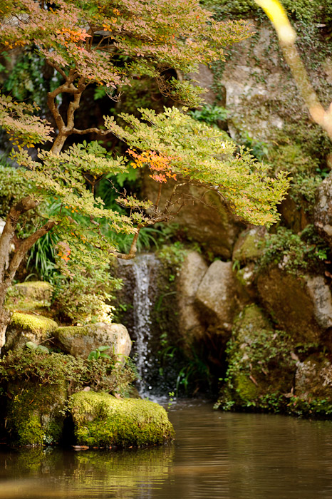 Feeding the Stream -- Kongourinji Temple (金剛輪寺) -- Aisho, Shiga, Japan -- Copyright 2010 Jeffrey Friedl, http://regex.info/blog/