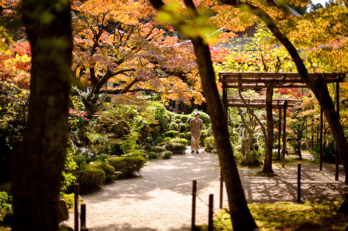 Looking Back toward the main garden area -- Kongourinji Temple (金剛輪寺) -- Aisho, Shiga, Japan -- Copyright 2010 Jeffrey Friedl, http://regex.info/blog/